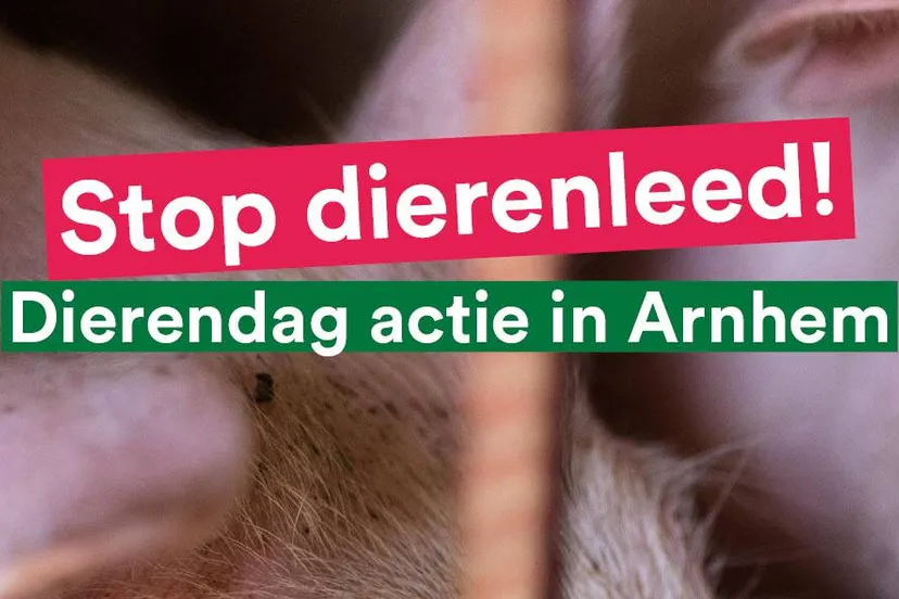 Dierendag Partij voor de Dieren