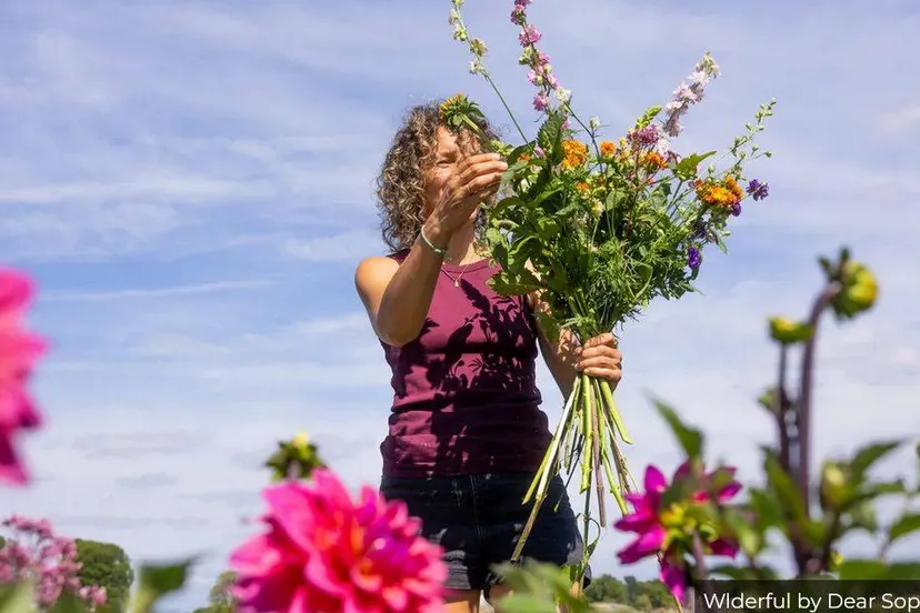 Wilderful by Dear Sophie. Vanaf nu makkelijker om in Gelderland biologische bloemen te kopen