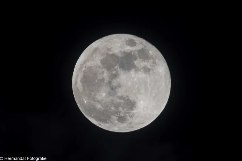 Blauwe maan.Herman Hendriks.-5643