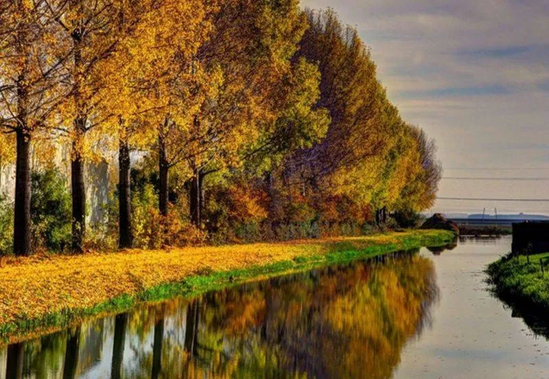 Kiek! Lingewaard de herfst in beeld Gemeente Lingewaard