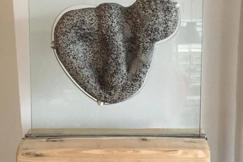 Sjaak Hendriksen 1000011584