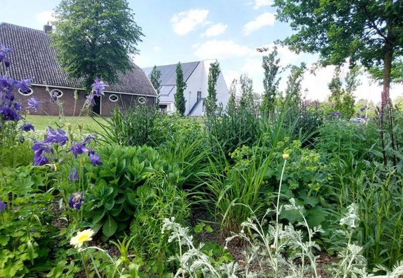 Programma LNB vastgesteld Gemeente Lingewaard