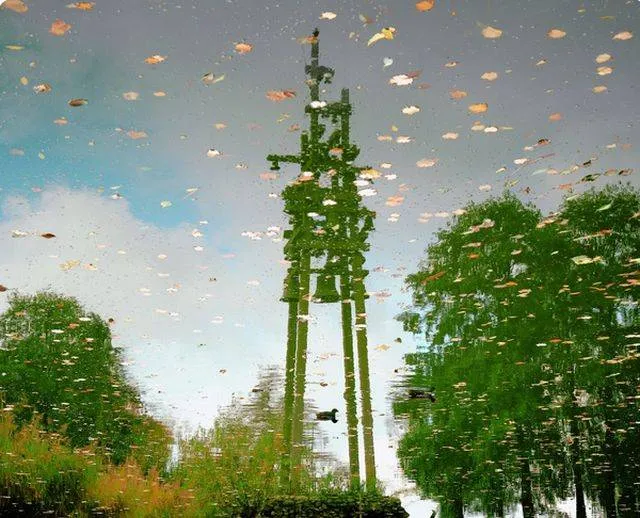 Kiek! Winnaar van de fotowedstrijd van november bekend.Wim Scheenen. Gemeente Lingewaard