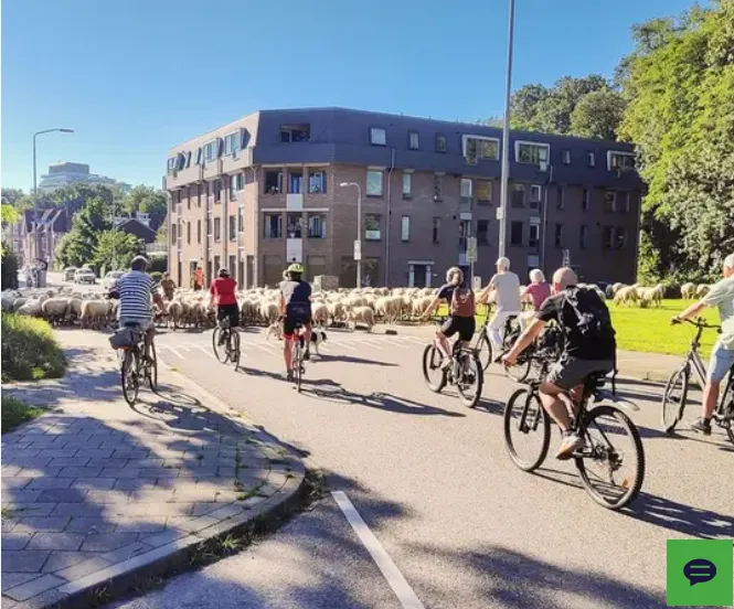 Screenshot 2025-12-17 at 14-21-09 Beste bermbokaal 2025 naar gemeente Nijmegen