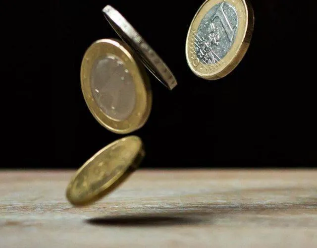 Subsidieplafonds voor 2026 Gemeente Lingewaard