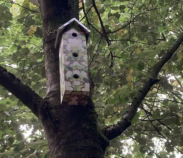 Bomenhub wordt booming -