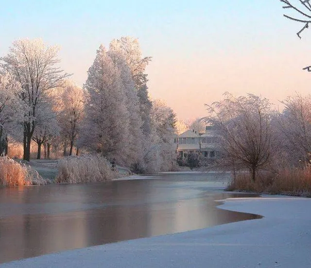 Winnaar fotowedstrijd januari bekend Gemeente Lingewaard