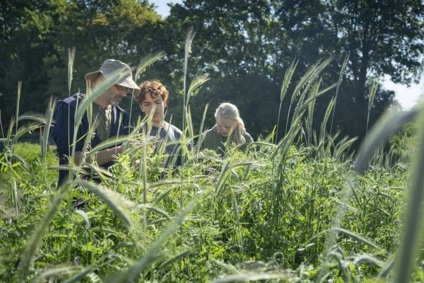 Biologische teelt in Velp