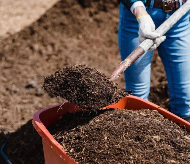 Gratis compost Gemeente Lingewaard