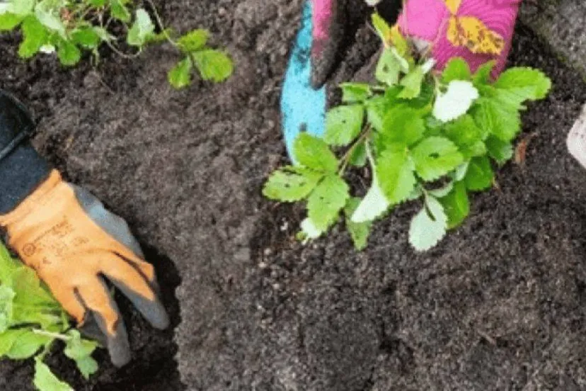 Tuinvergroeningsdag in Ecopark Gendt 28.03.2026