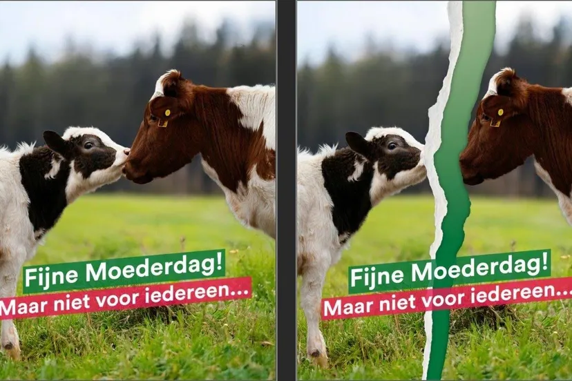 Moederdag PvdD Gelderland - niet voor iedereen(1)