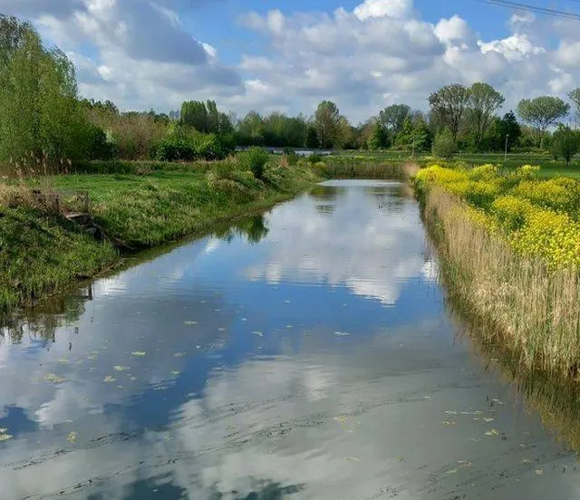weerspiegeling winnaar fotowedstrijd april.Corine Bresser-Gielen. Gemeente Lingewaard