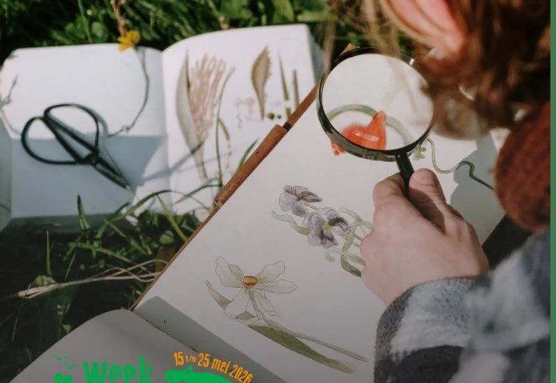 Workshops Botanisch tekenen in Velp