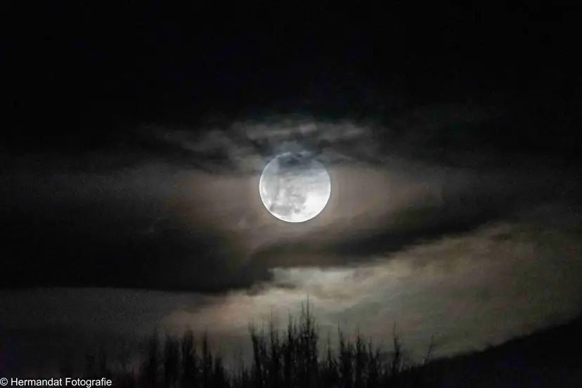 Herman Hendriks.Nacht van de nacht