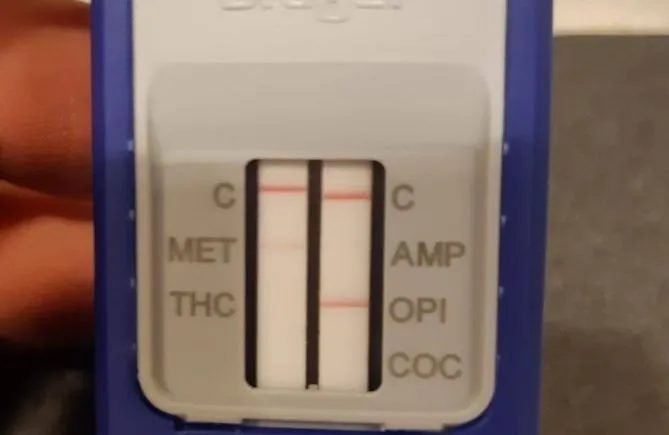 106505039 2862021610593326 8641124898320275729 o