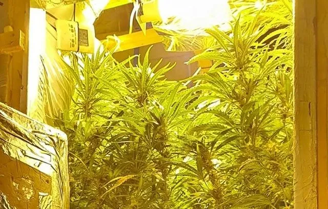 120146200 3107392192722932 3172966377880094913 o