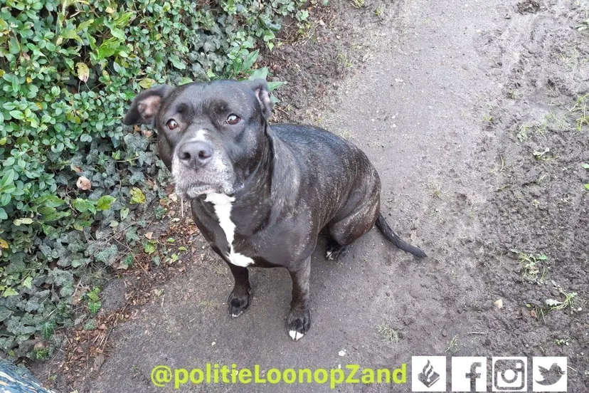 121154179 3162676053861212 7760665365987759138 o