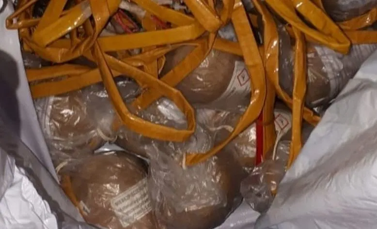 125175865 3244978535630963 7706003477144196132 o