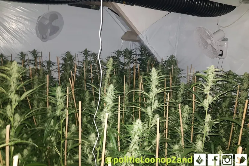 125971730 3266008206861329 2000945675507776986 o