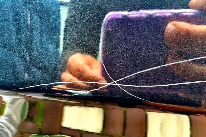 13537536 1130019897061806 3724992642759417605 n