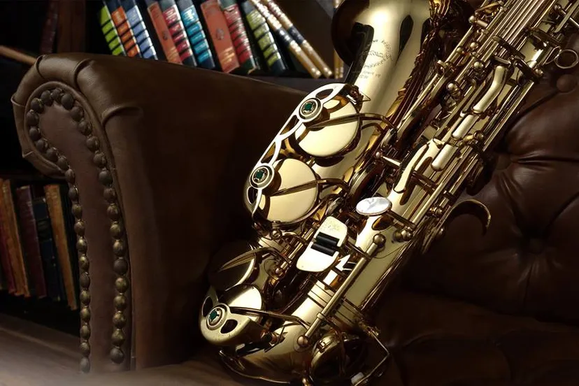 14479516 1193293240741300 4172468737949409419 n