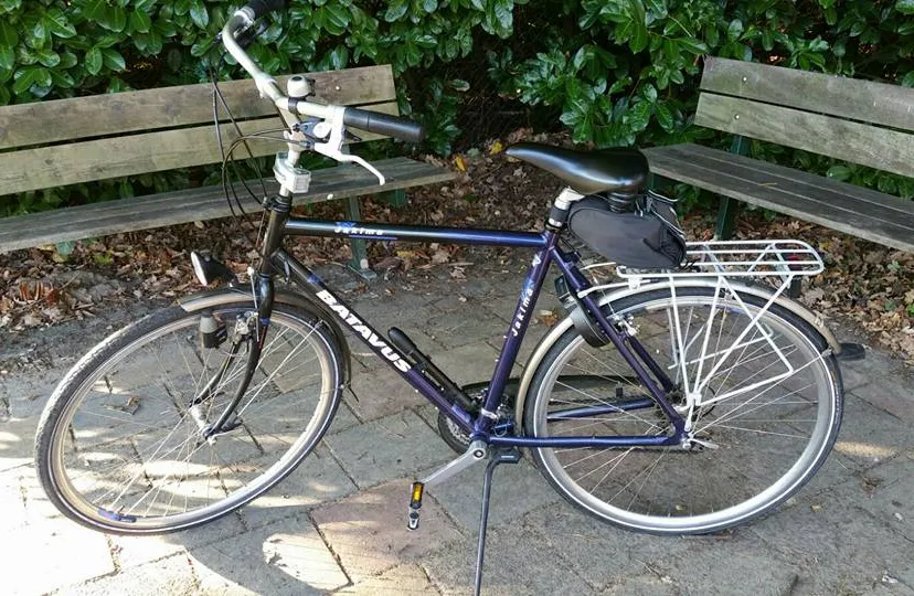 14567970 1677729485876595 6209918026363700633 n