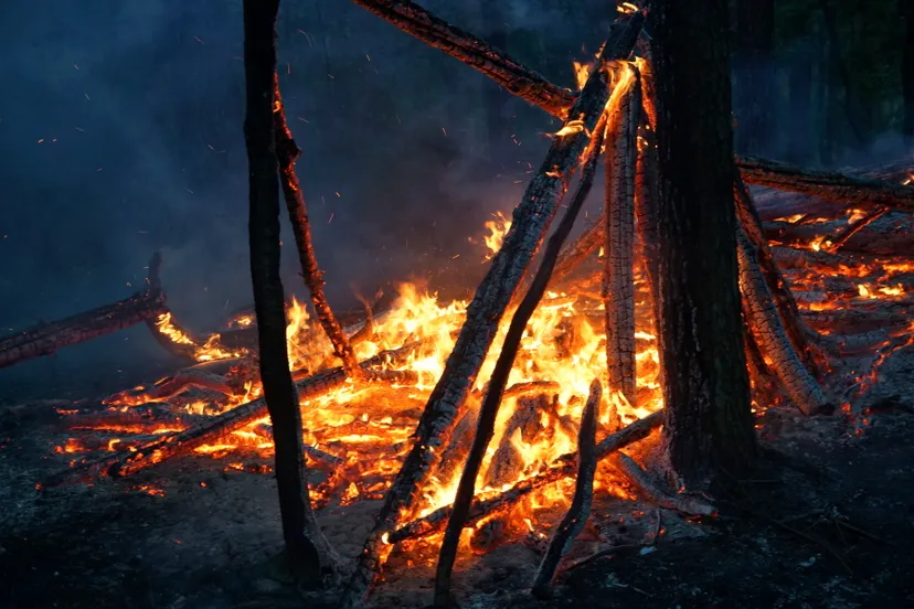 1495912648 picsay 001