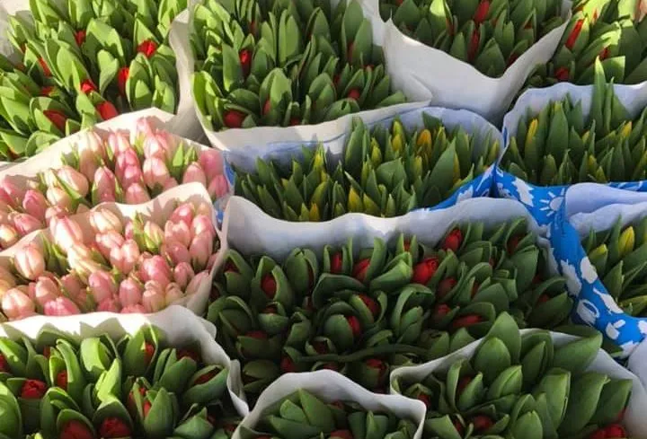 152776543 3883930564984418 6034928395828594831 n