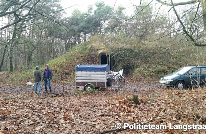 15541571 1715939085388968 5386295726607169558 n