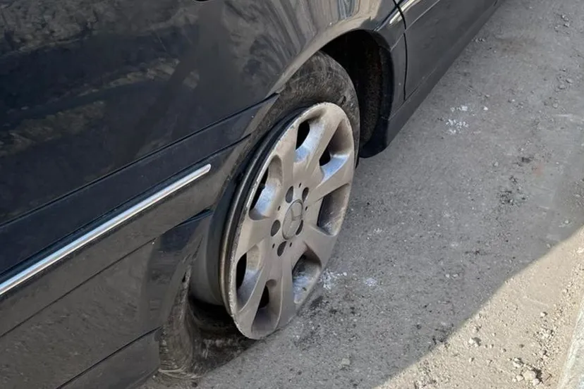 156375514 787644285171510 4824037701611384042 n