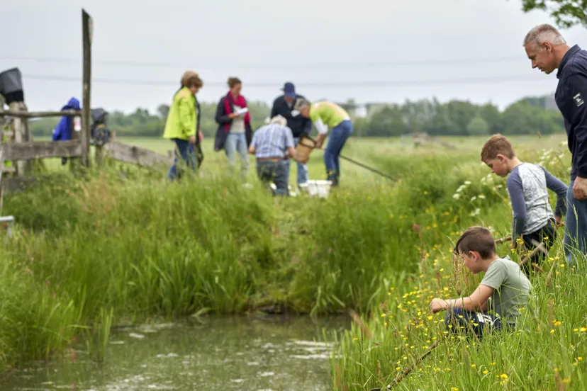 1584 097492535f07055965934d28139ddd1f scaled