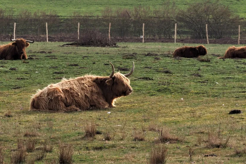 178762162 2516189701860233 9037263001106858337 n