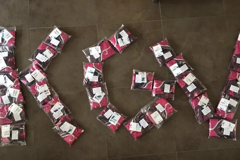 18425082 1347157548654121 2967782030555292814 n