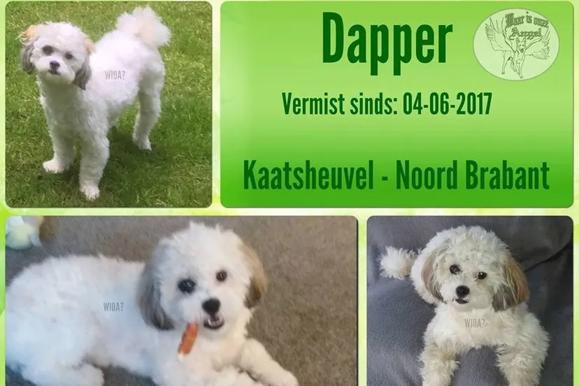 18922142 1373334106035342 4290116356098248289 n