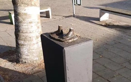 19437246 778443108995152 2948097668629209968 n