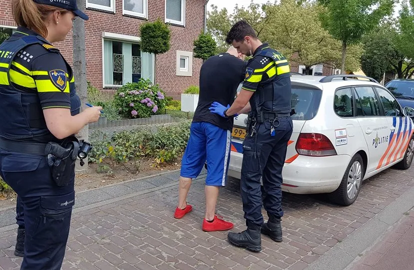 19657455 1832530380396504 5649093852746433366 n