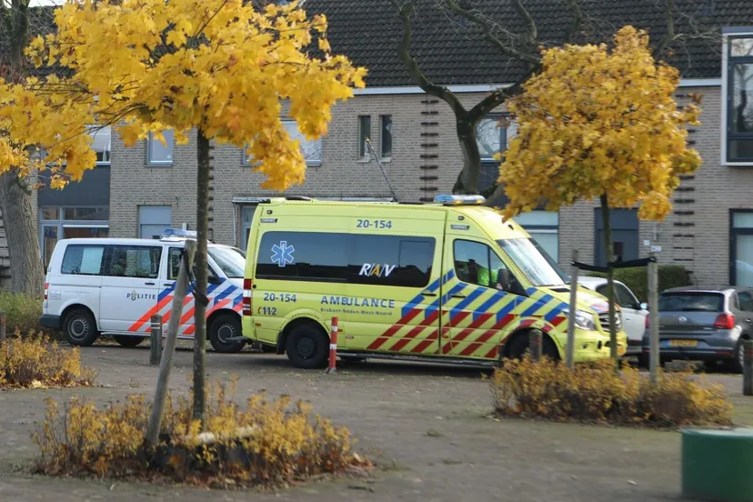 20161119103502 fpmb0617a picsay