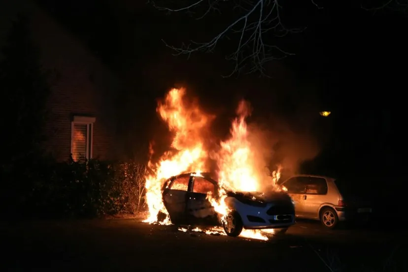 20170128051237 fpmb1392 picsay 1024x683