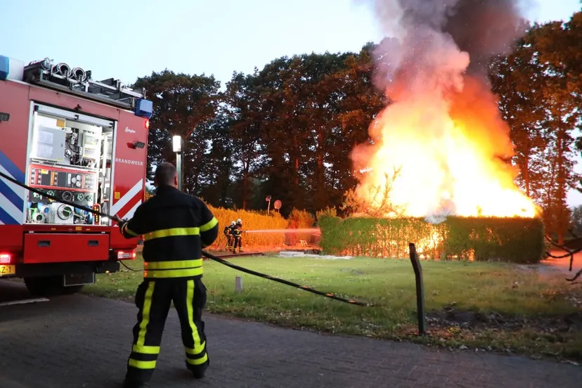 20170620050741 fpmb3161 picsay