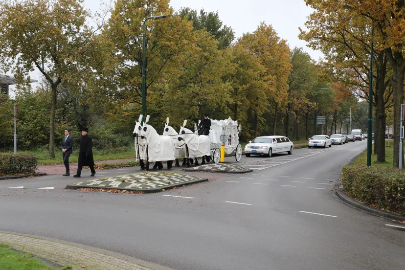 20171111103233 fpmb4941