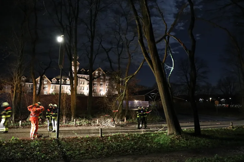 20180103052308 fpmb5717