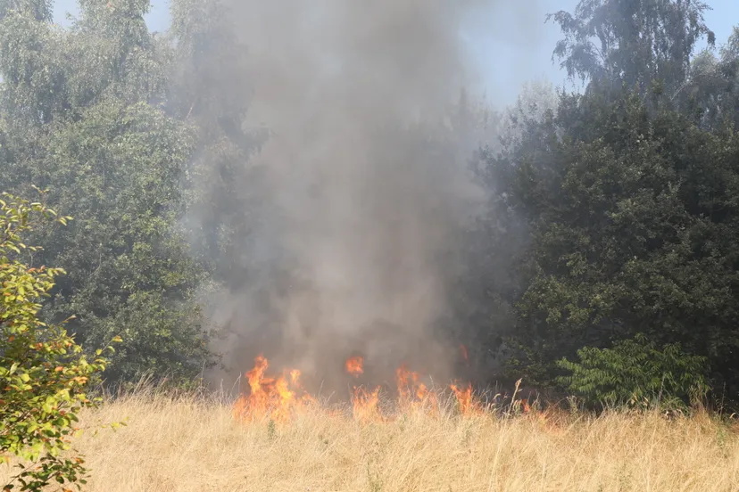 20180723104156 fpmb9363