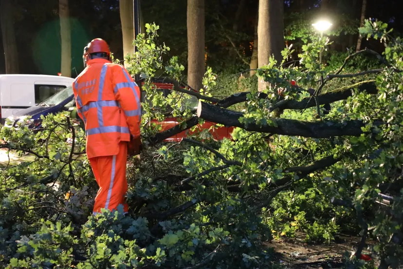 20180921201403 fpmb0461