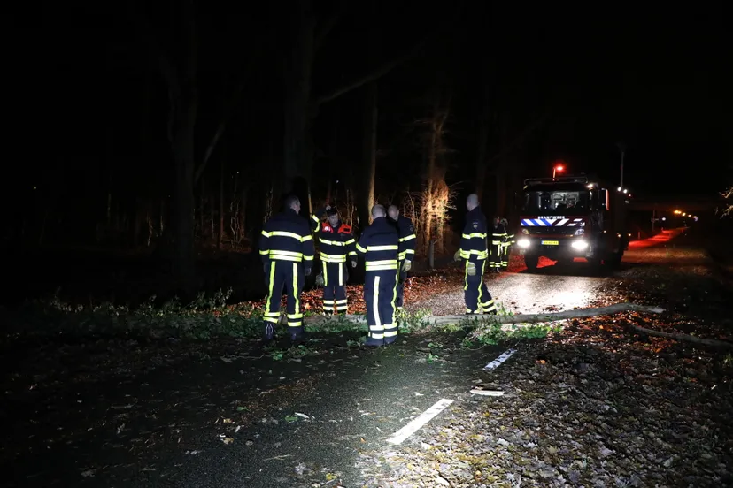 20181209024655 fpmb1753