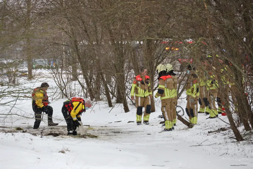 20210210170013 fpmb0361