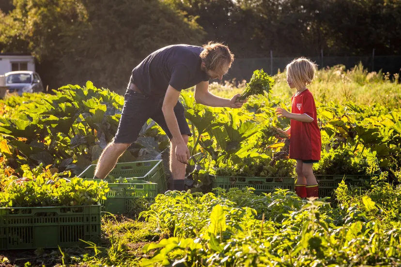 2022 heemstede markvstokkom 34