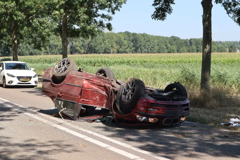 20220812124856 img 3482