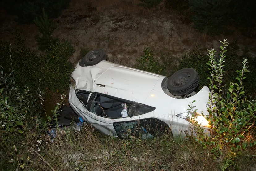 20220813235202 dsc03656