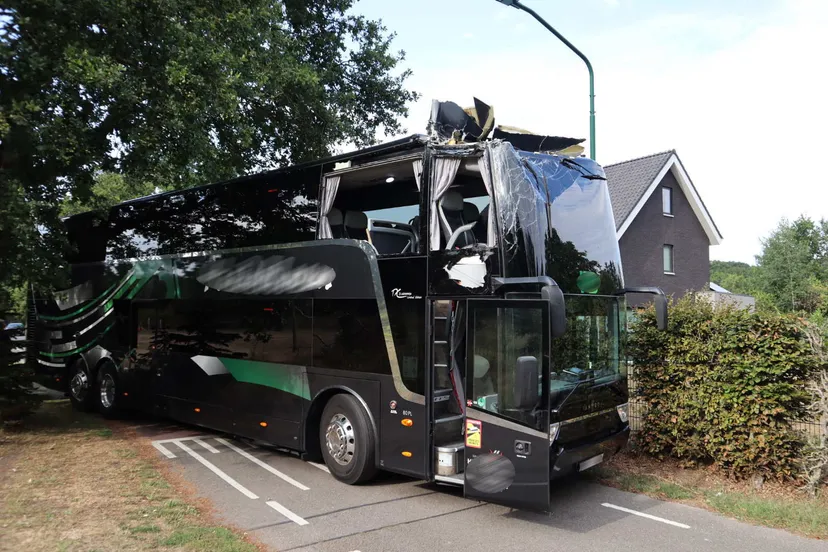 20220815182619 img 3839