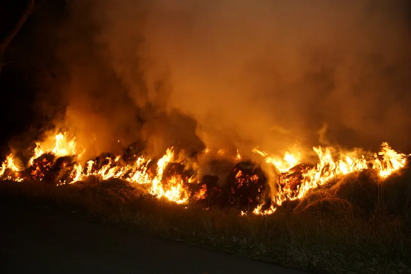 20220907213334 dsc04930